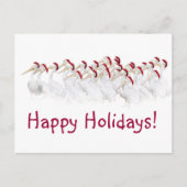 De Briefkaarten van de pelikaan prettige (Voorkant)