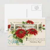 De Briefkaarten van de Poinsettia van de bloem (Voorkant / Achterkant)