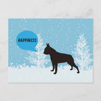 De Briefkaarten van de vakantie - Boston