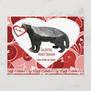 De Briefkaarten van de Valentijnsdag van de Das