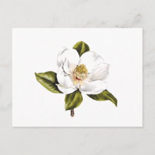 De Briefkaarten van de Verandering van het adres -