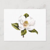 De Briefkaarten van de Verandering van het adres - (Voorkant)