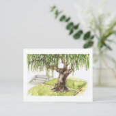 De Briefkaarten van de wilg (Staand voorkant)