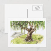 De Briefkaarten van de wilg (Voorkant / Achterkant)