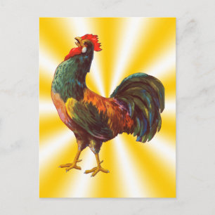 De Briefkaarten van het Adres van het Adres van de