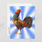 De Briefkaarten van het Adres van het Adres van de (Voorkant / Achterkant)