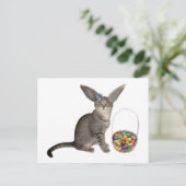 De Briefkaarten van het Katje van Pasen (Staand voorkant)