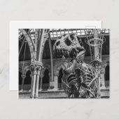 "De briefkaarten van het Skelet t-Rex" (Voorkant / Achterkant)