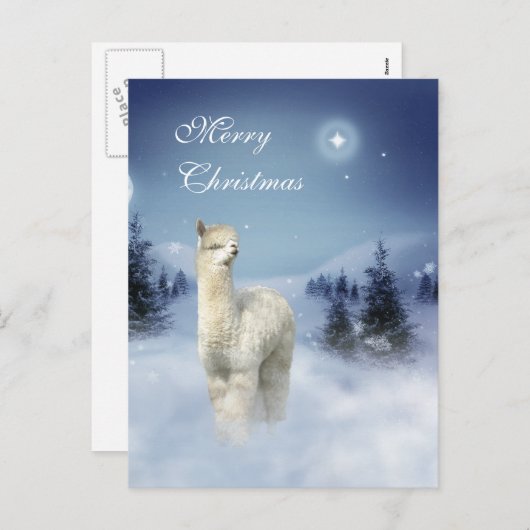 De Briefkaarten van Kerstmis van de Nacht van de (Voorkant / Achterkant)