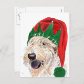 De Briefkaarten van Labradoodle van de Helper van (Voorkant / Achterkant)