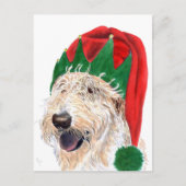 De Briefkaarten van Labradoodle van de Helper van (Voorkant)