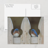 De briefkaarten van sialia (Voorkant / Achterkant)