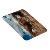 De bril, Noord en Zuid Vensters, Arcering NP Magneet (Rechterzijde)