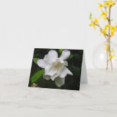 De briljante Witte Kaart van de Nota van de Bloei (Gele Bloem)