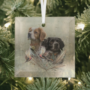 De Brittany Spaniels,  Franse Brittany, Vogelhond, Glas Ornament