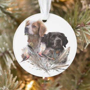 De Brittany Spaniels,  Franse Brittany, Vogelhond, Ornament