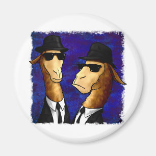 De Broers van de lama Magneet