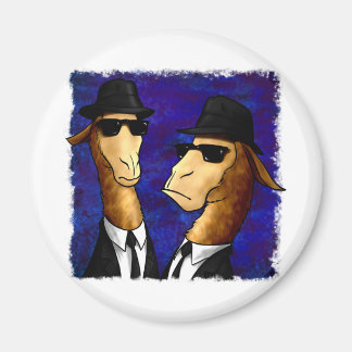 De Broers van de lama Magneet