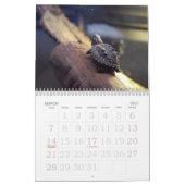 De Bronx Zoo Kalender (Mar 2027)