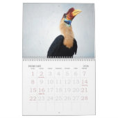 De Bronx Zoo Kalender (Feb 2026)