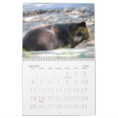 De Bronx Zoo Kalender (Jan 2026)