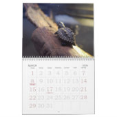 De Bronx Zoo Kalender (Mar 2026)