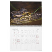 De Bronx Zoo Kalender (Feb 2026)