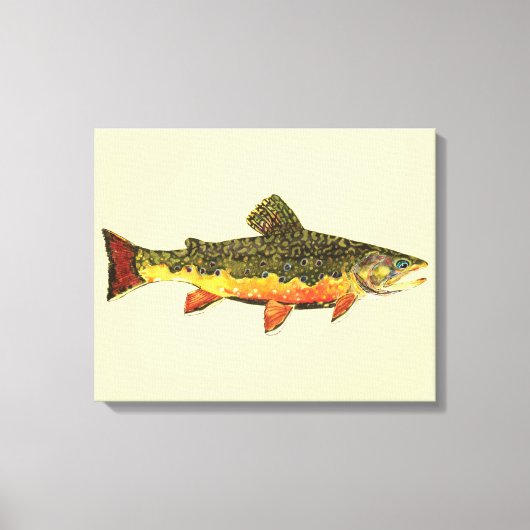 De Brook-forel Canvas Afdruk (Voorkant)