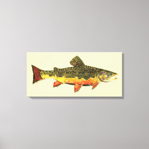 De Brook-forel Canvas Afdruk