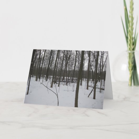 De brug in de sneeuw feestdagen kaart (Voorkant)