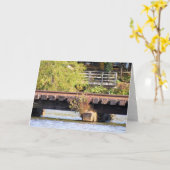 De brug - Jamesburg, NJ Kaart (Gele Bloem)