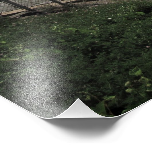 "De brug naar Dimension Zed" Fotoprint Foto Afdruk (Hoek)