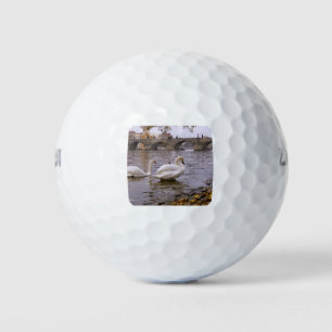 De brug van Praag tussen Zweden en Charles Golfballen