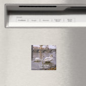 De brug van Praag tussen Zweden en Charles Magneet (Insitu (Vaatwasser))