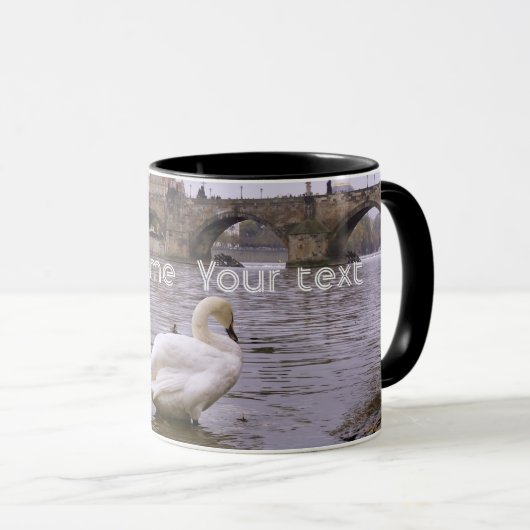 De brug van Praag tussen Zweden en Charles Mok (Voorkant rechts)