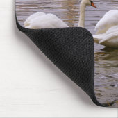 De brug van Praag tussen Zweden en Charles Muismat (Hoek)