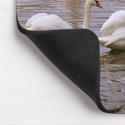 De brug van Praag tussen Zweden en Charles Muismat (Hoek)