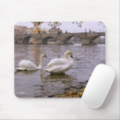 De brug van Praag tussen Zweden en Charles Muismat (Met muis)