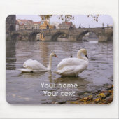 De brug van Praag tussen Zweden en Charles Muismat (Voorkant)