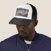 De brug van Praag tussen Zweden en Charles Trucker Pet (In situ)