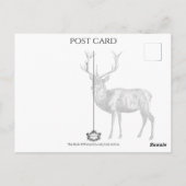 De bruid, gotische romance, fantasie briefkaart (Achterkant)