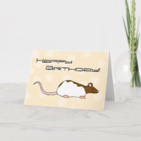 De bruine en Witte Rat Met een kap van het