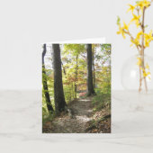 De bruine Kaart van de Nota van de Provincie (Gele Bloem)