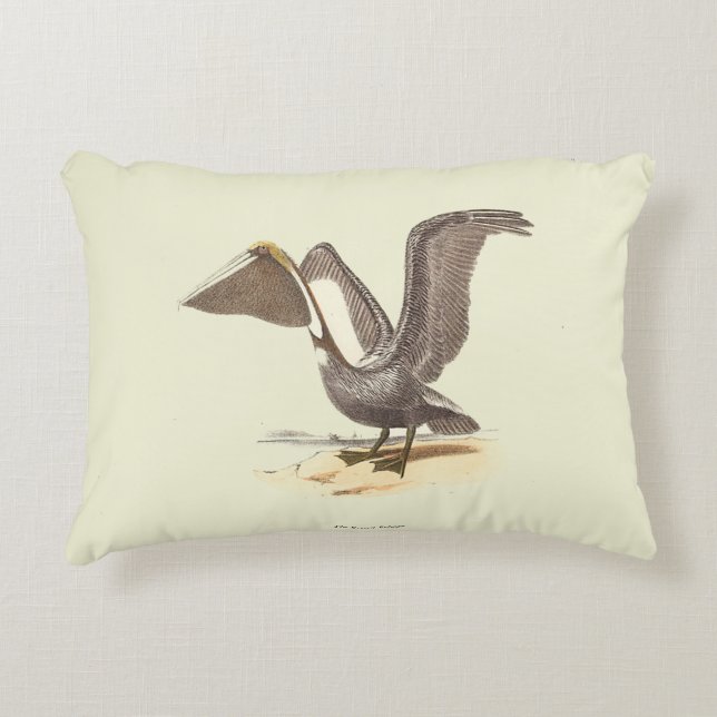 De bruine pelikaan (Pelecanus occidentalis) NY Bir Accent Kussen (Voorkant)