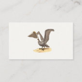 De bruine pelikaan (Pelecanus occidentalis) NY Bir Visitekaartje (Achterkant)