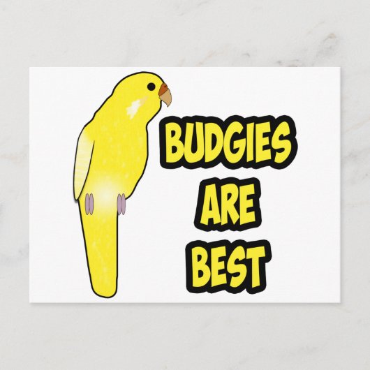 De budgetten zijn het beste briefkaart (Voorkant)