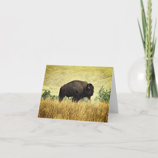 De Buffels van Montana Kaart (Voorkant)