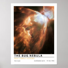 De Bug-nevel Ruimte Onderwijs Poster