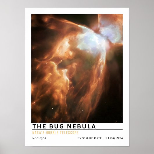 De Bug-nevel Ruimte Onderwijs Poster (Voorkant)