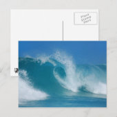 de buis briefkaart (Voorkant / Achterkant)